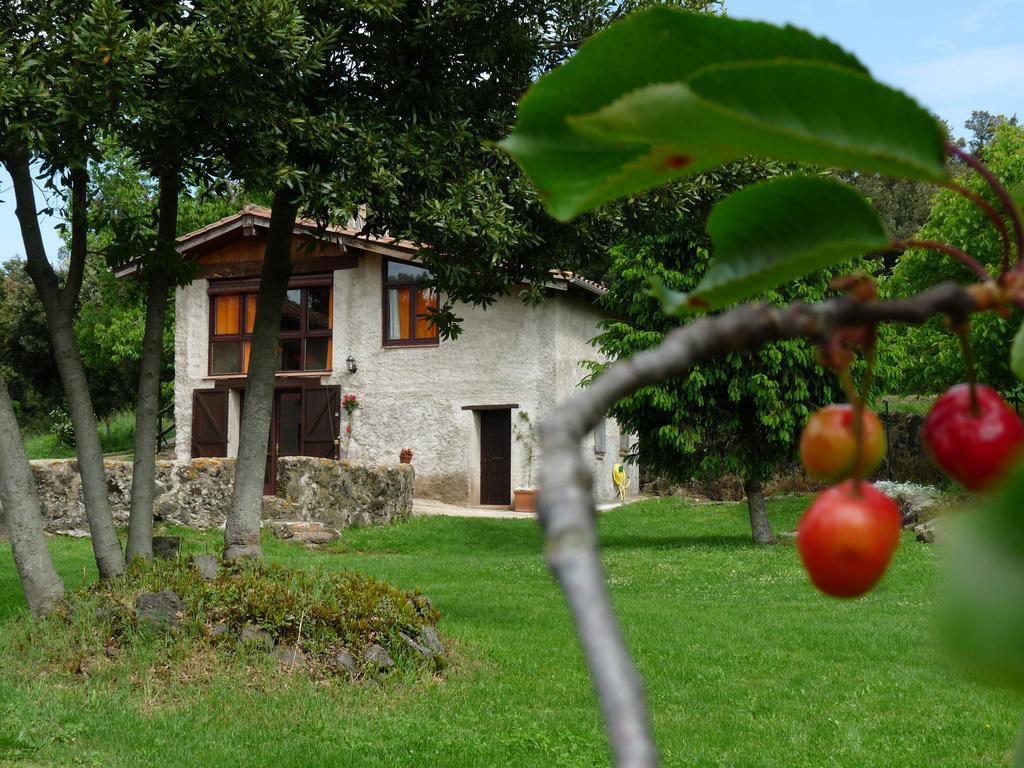 Can Janot Villa Olot Kültér fotó
